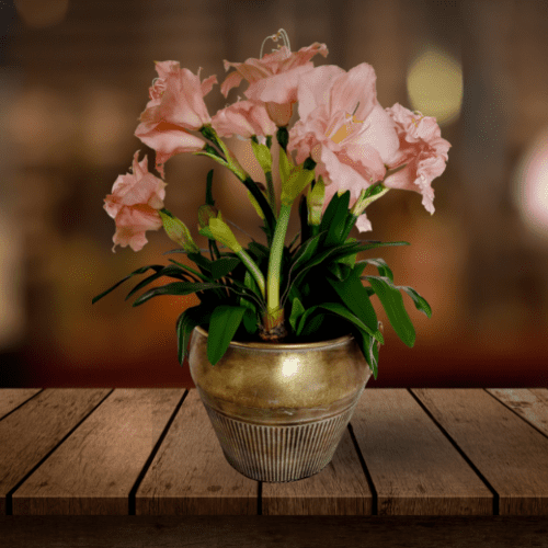 Times and Tides (1) (1)